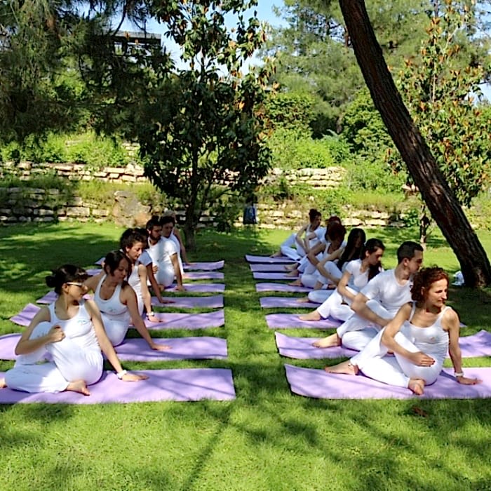 Yoga Terapi